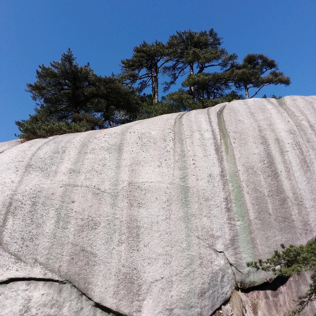 雍