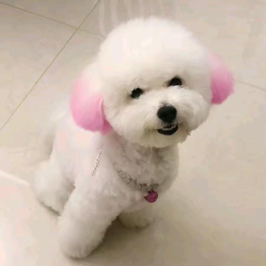 愉快