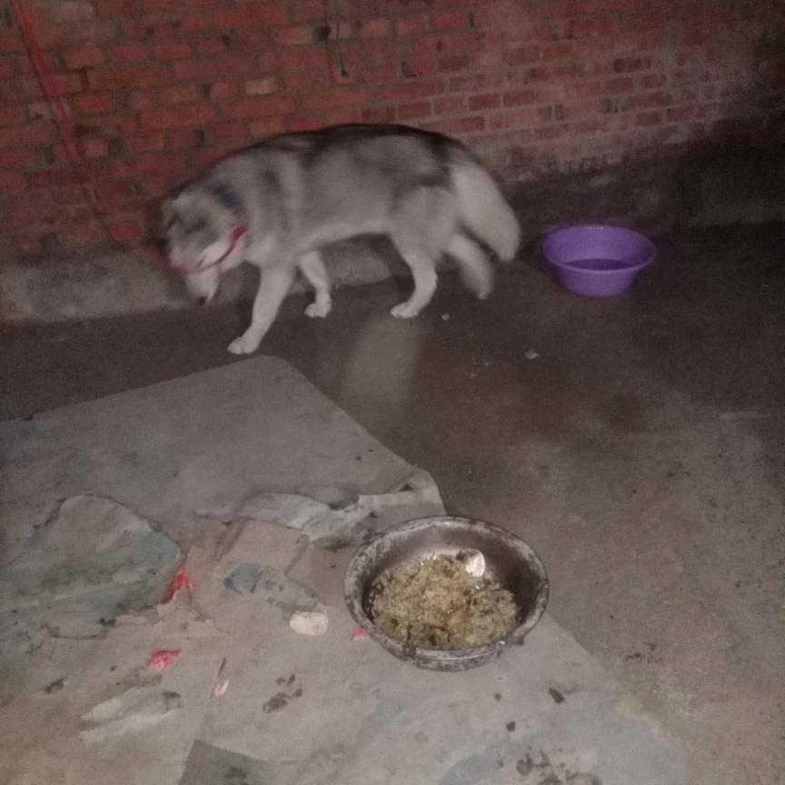 张景华