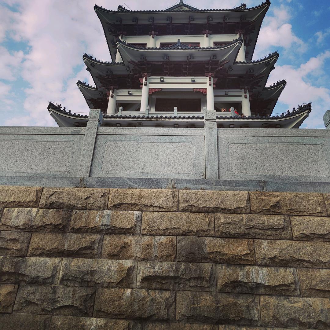 逆流而上