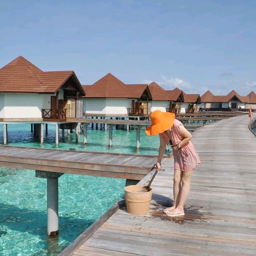 麦兜的宿管大妈