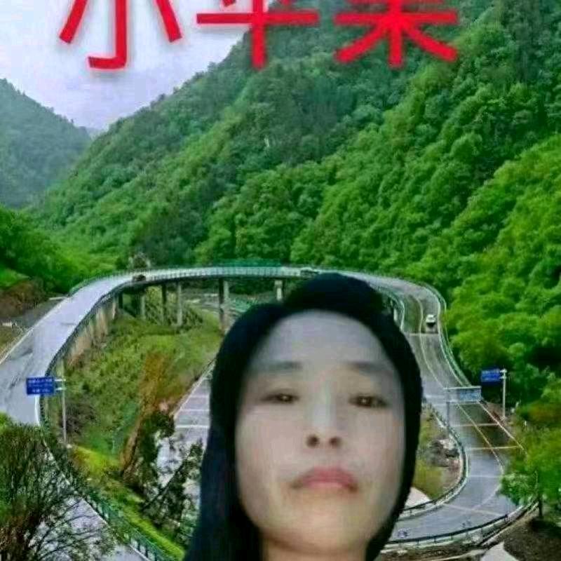 人怕无情。心怕伤莲儿！