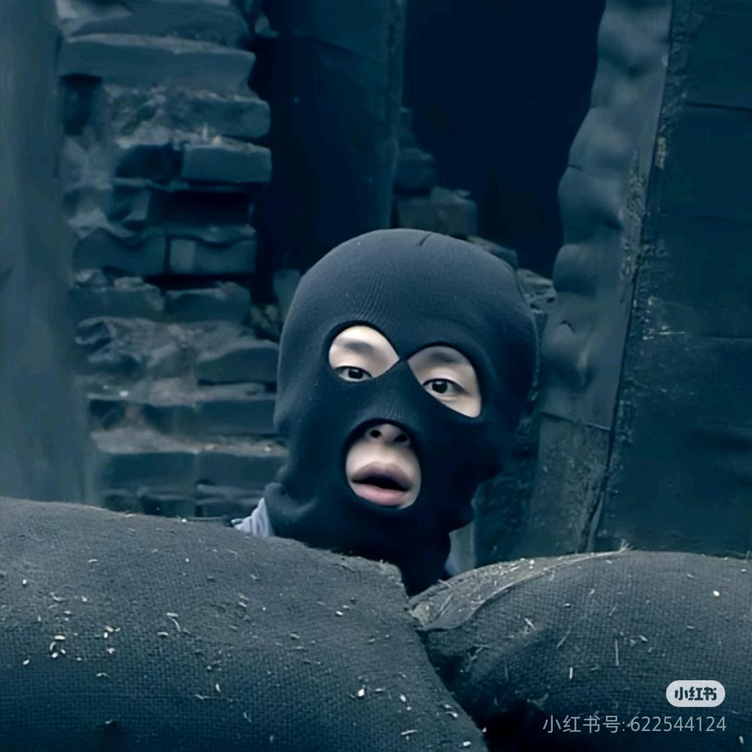 佘太君是什么君