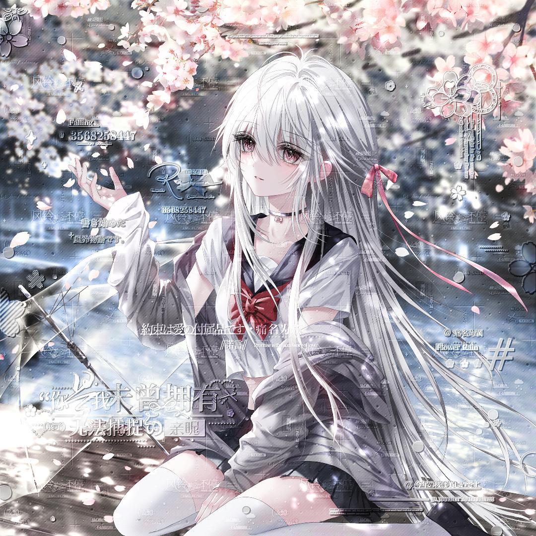 小y