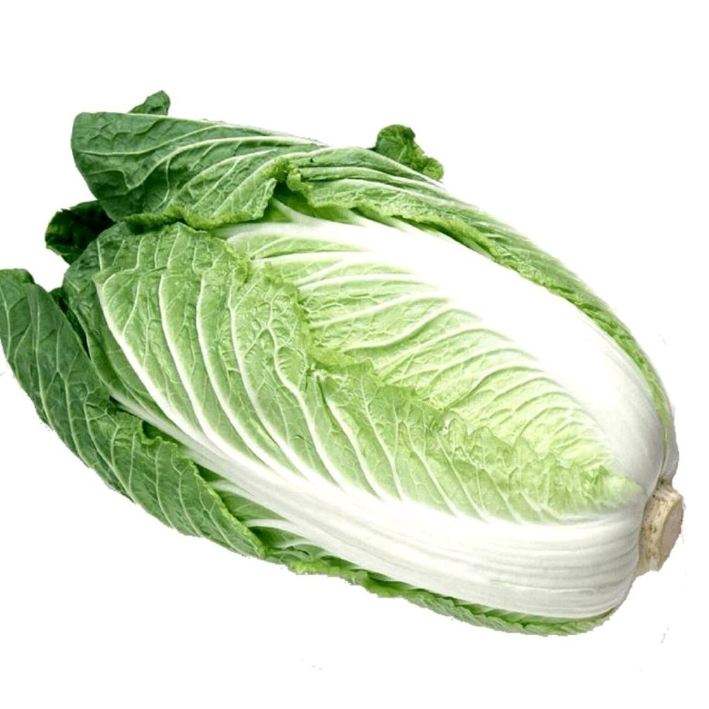 莫念