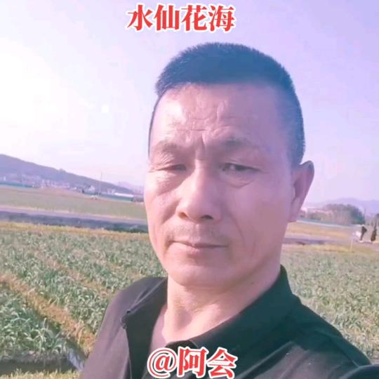 开心哥
