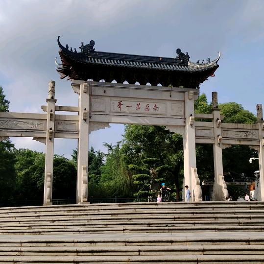 向着太阳迎着光