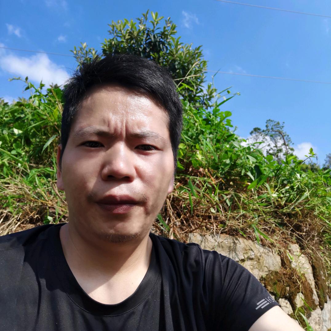唉，何去何从