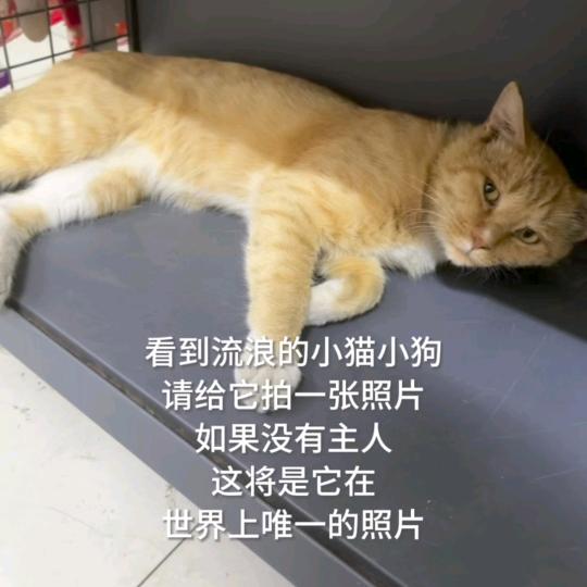 可心