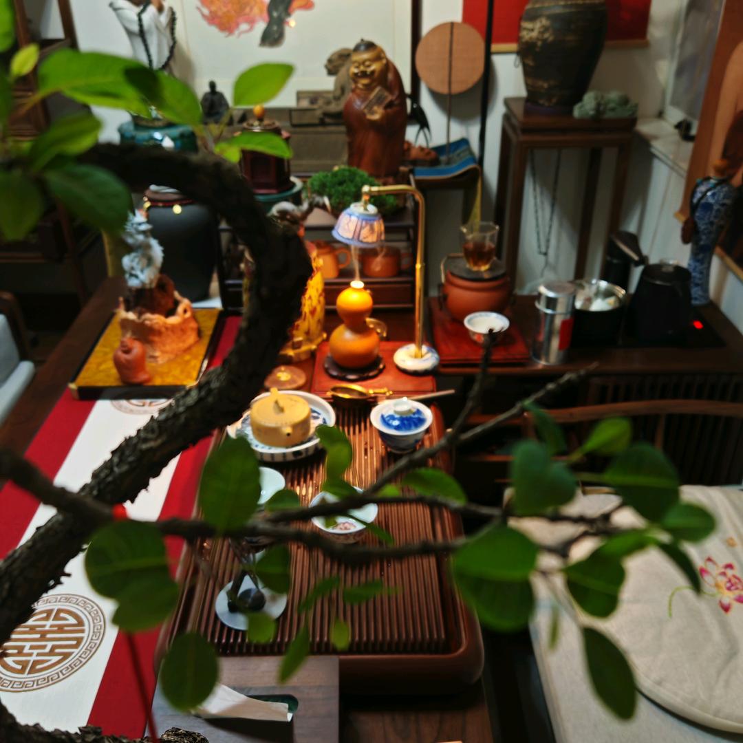止语