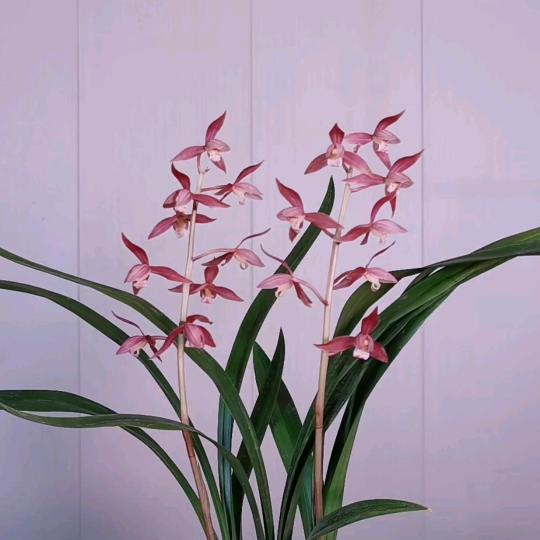 看日出🌈🌈🌈