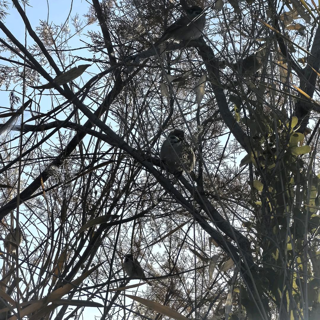 🥳🤪刘(^～^)🥳🤪