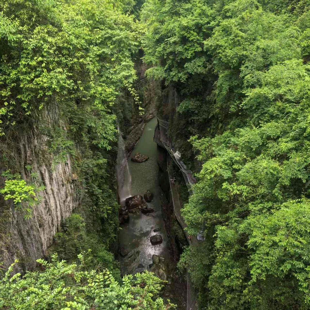 雷厉风行