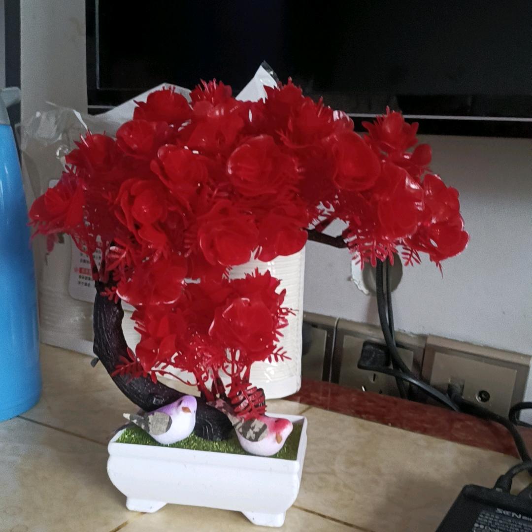 专业家政