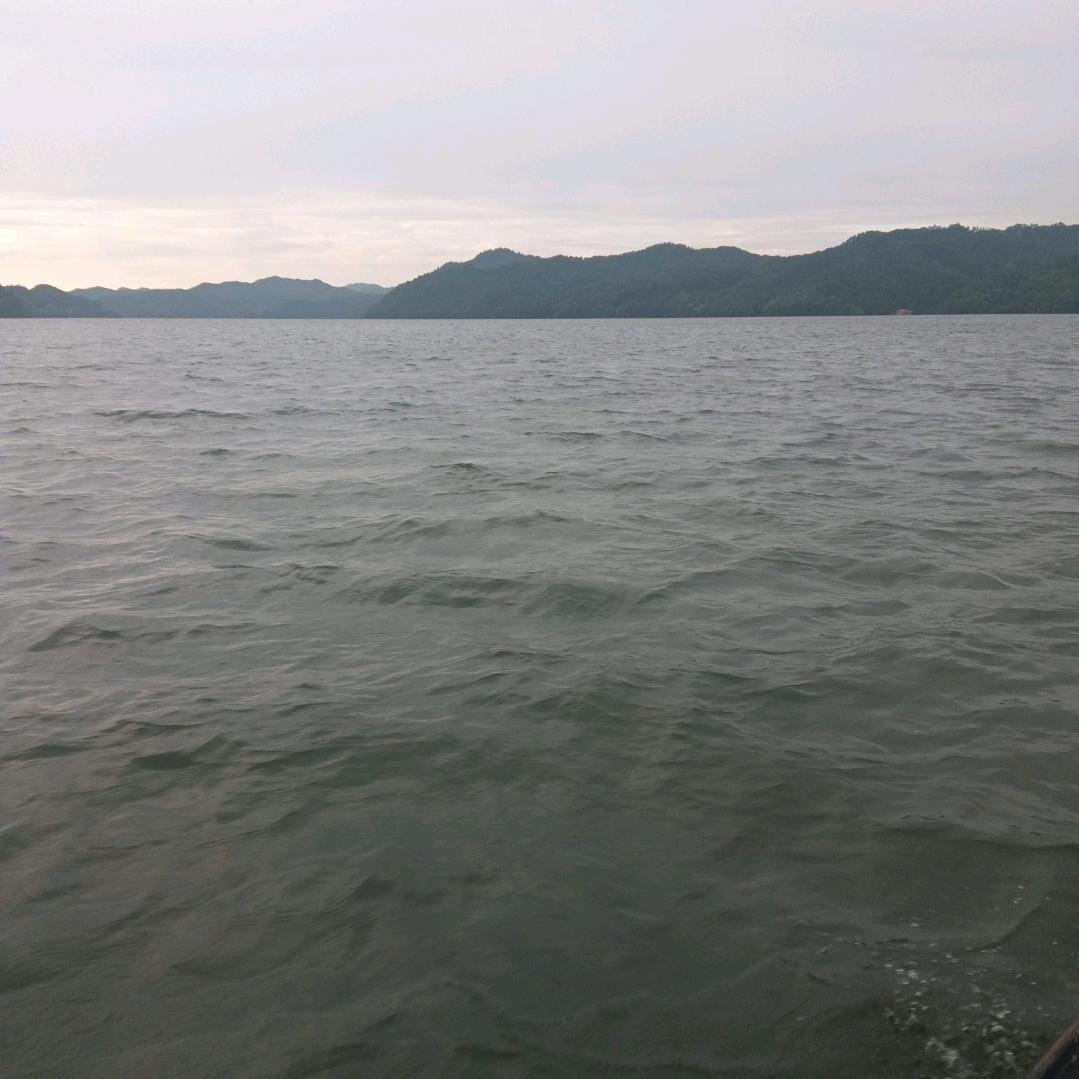 胡一平