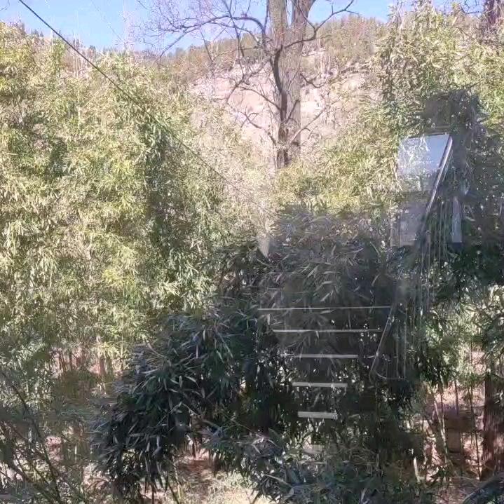 孙学芳