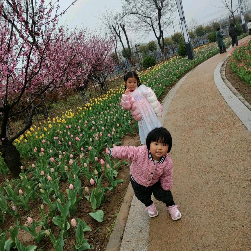 妞妞的奶奶