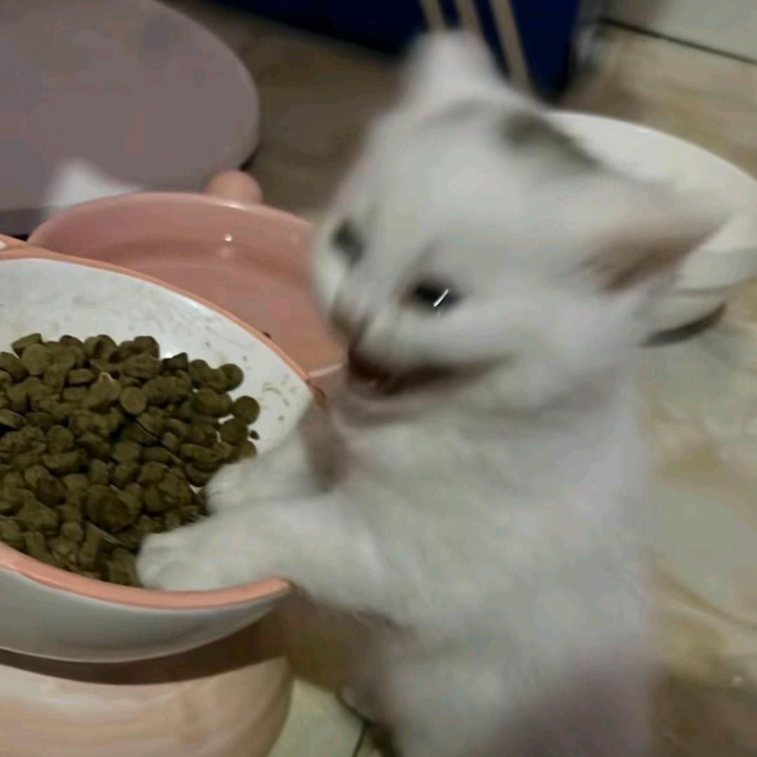 赤