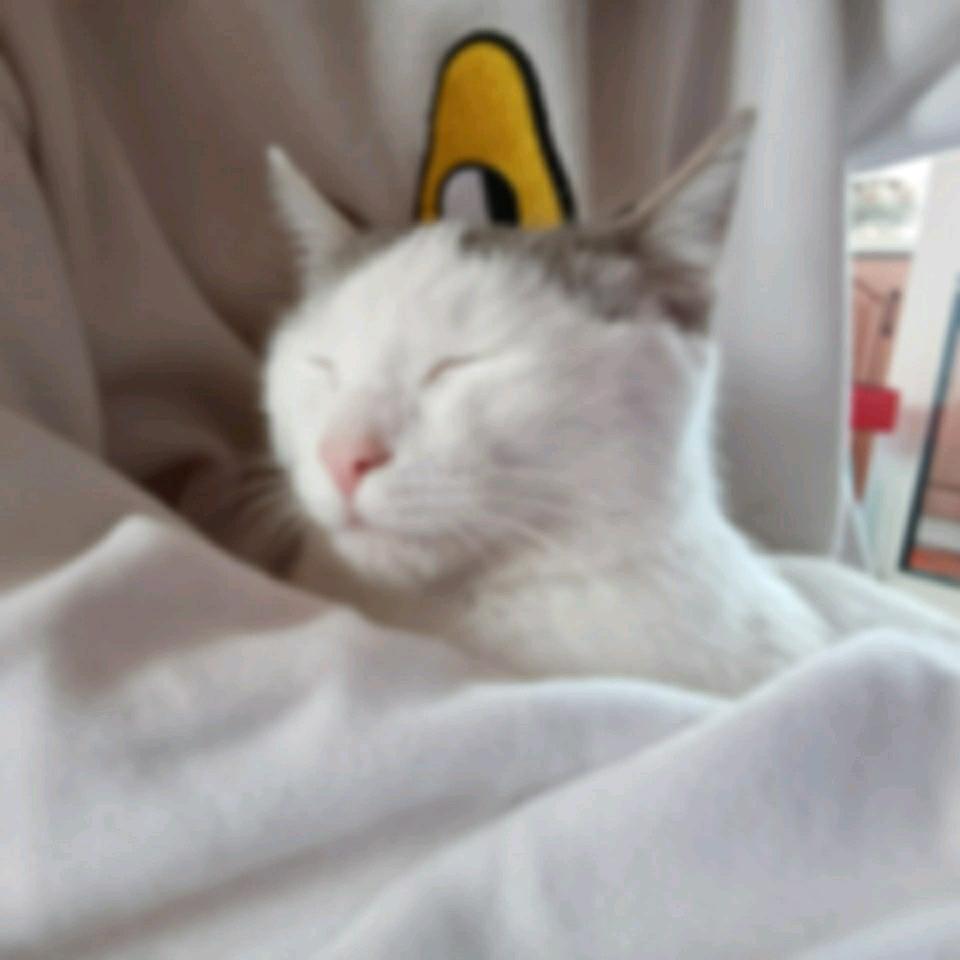 ¶