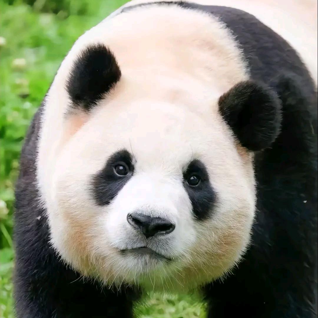 渔纵不同（张家港）