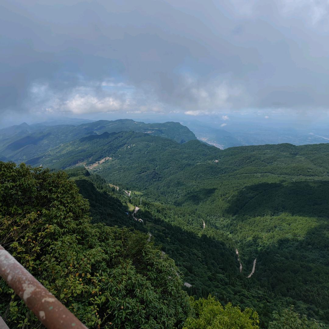 飞扬