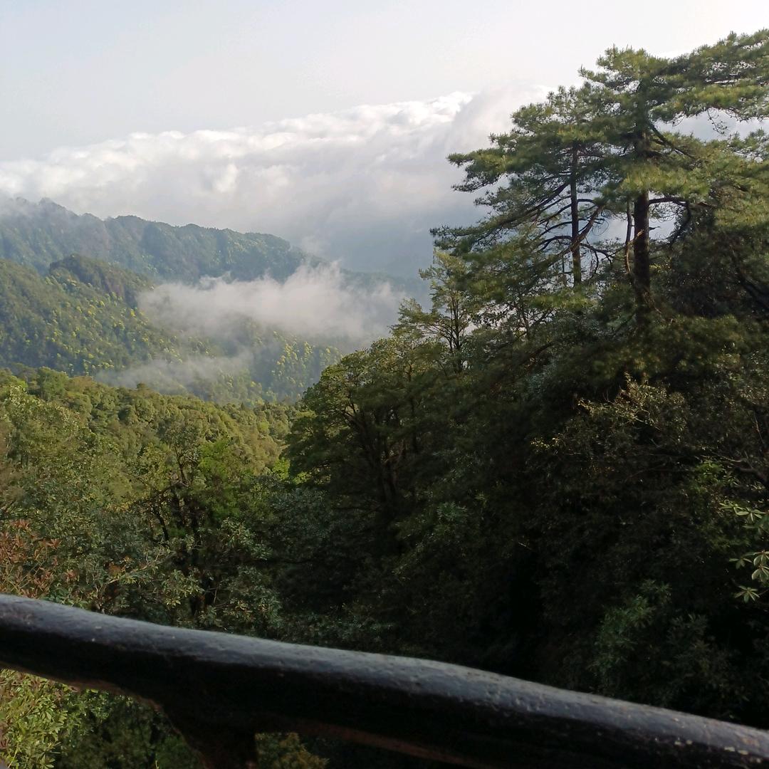 🦂木🐉之🎲华🥜