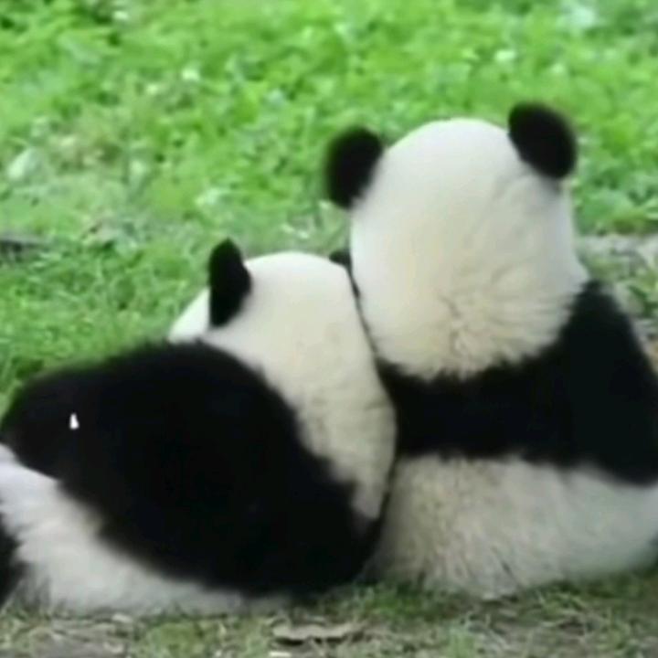 和光同尘