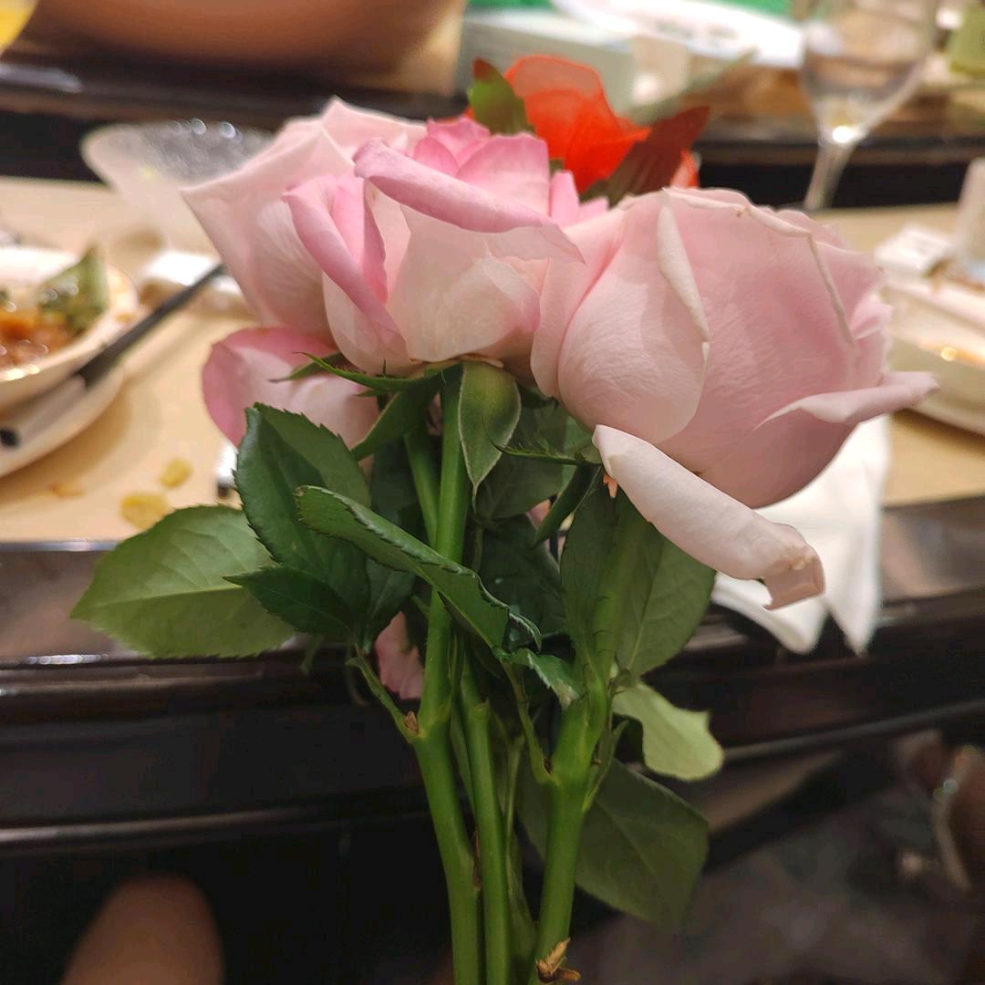 王怡涵