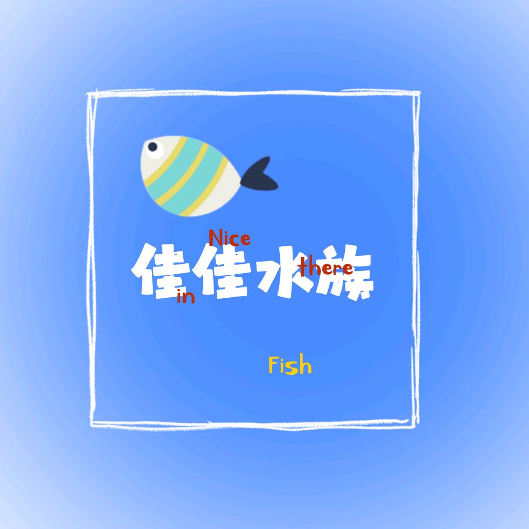 佳佳水族观赏鱼