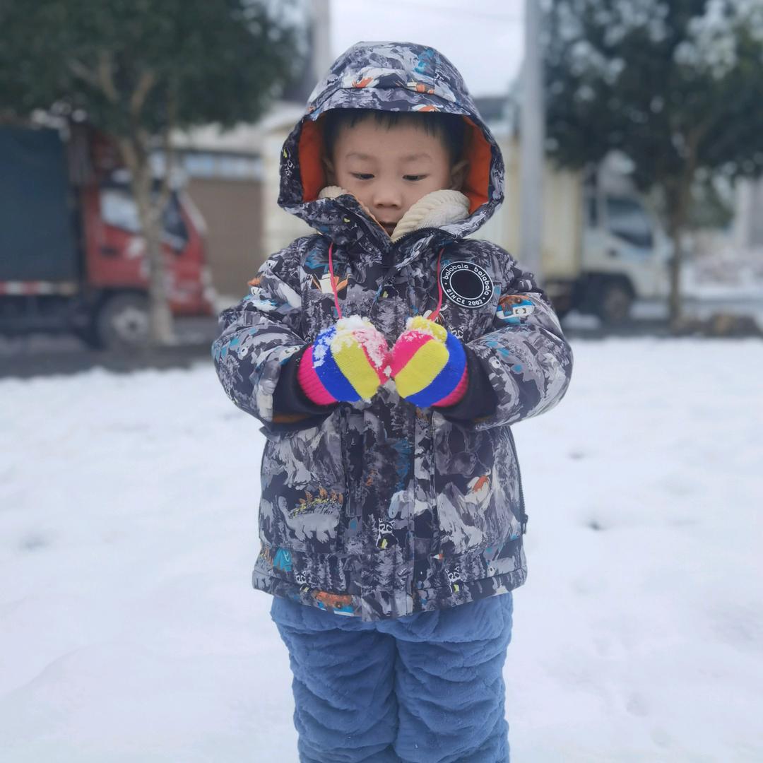 真月之星