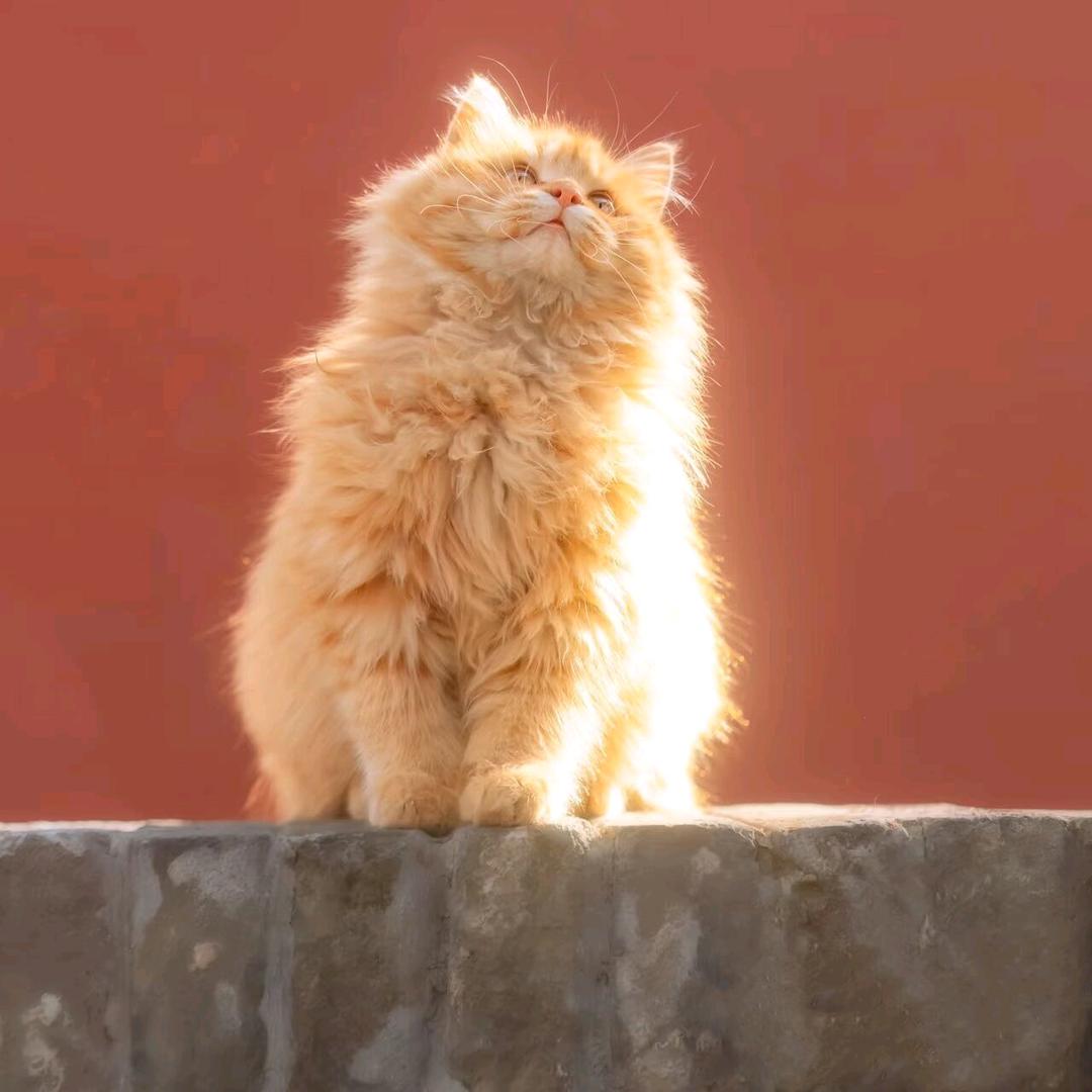 暮岩川（半死不活攒钱版）