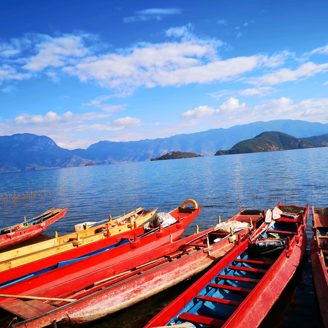 🌹古月青兰🌹