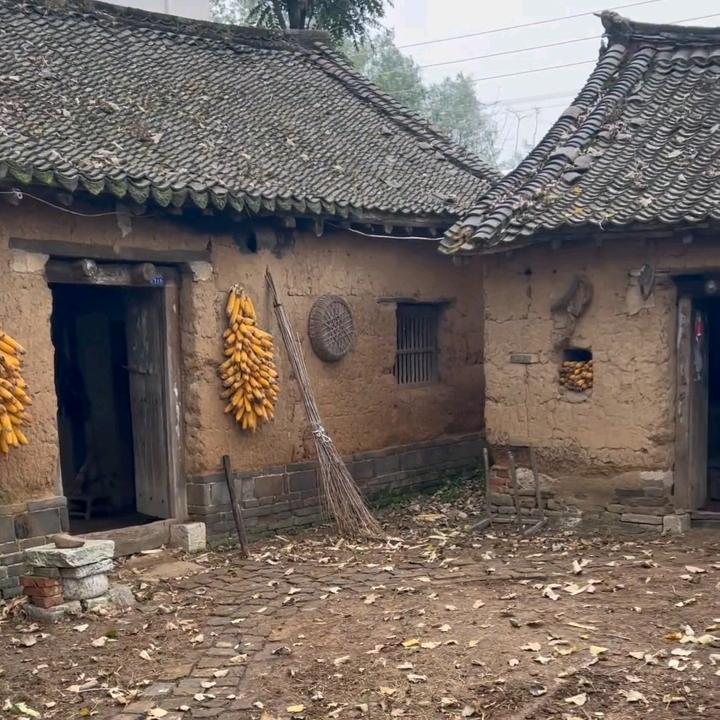 今生缘