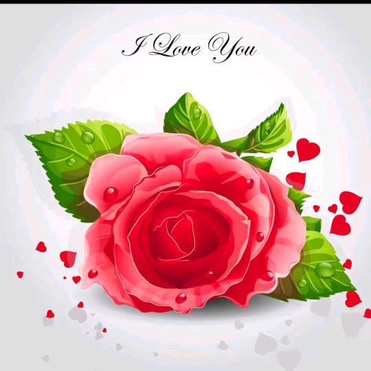 ᭄往事💞清零♥ꦿ᭄