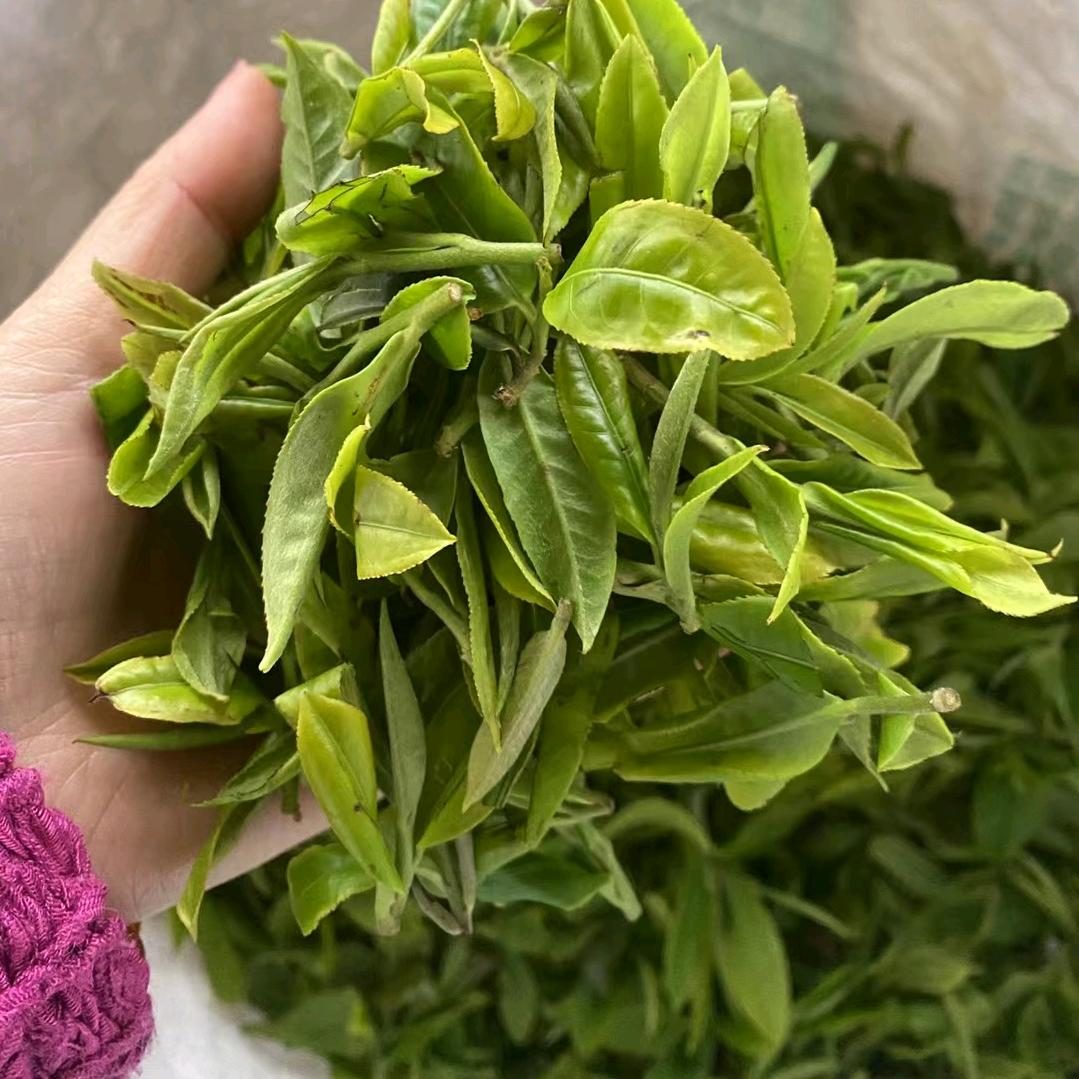 茶韵品臻坊