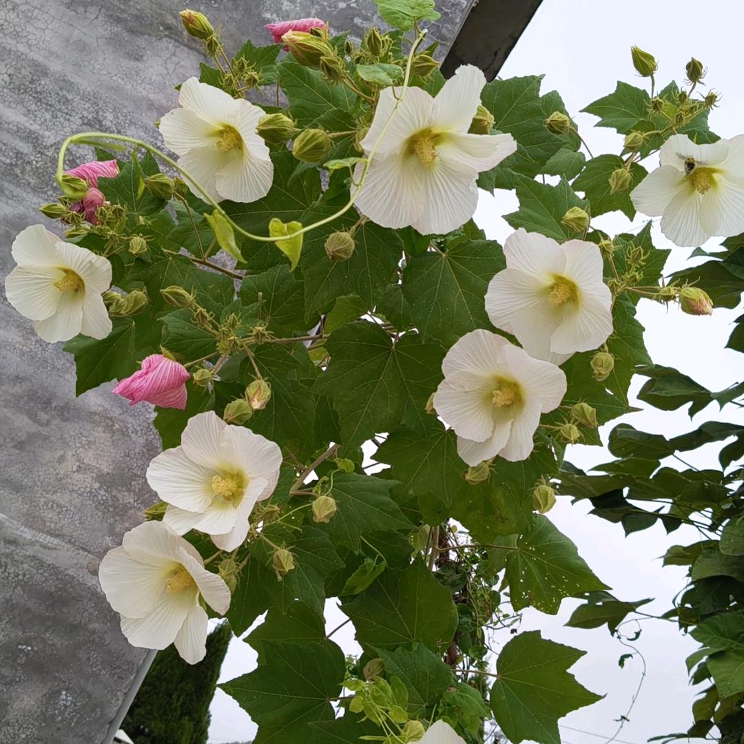 冷暖自知