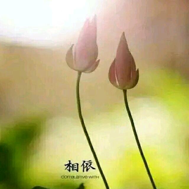 陌路