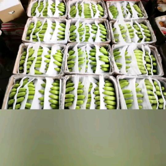 啊虎