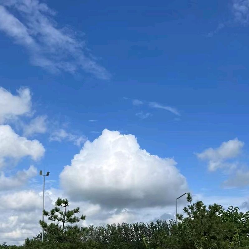 超哥