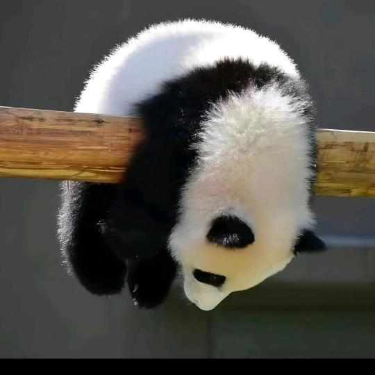 十之八九