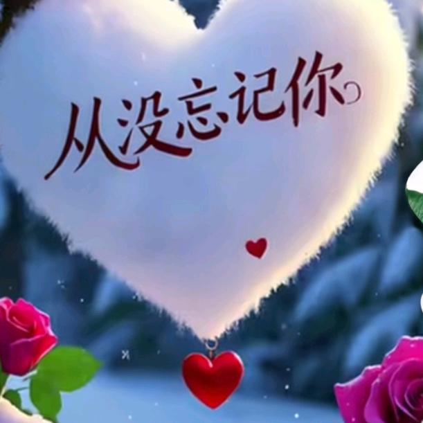 🩷一生挚爱💕