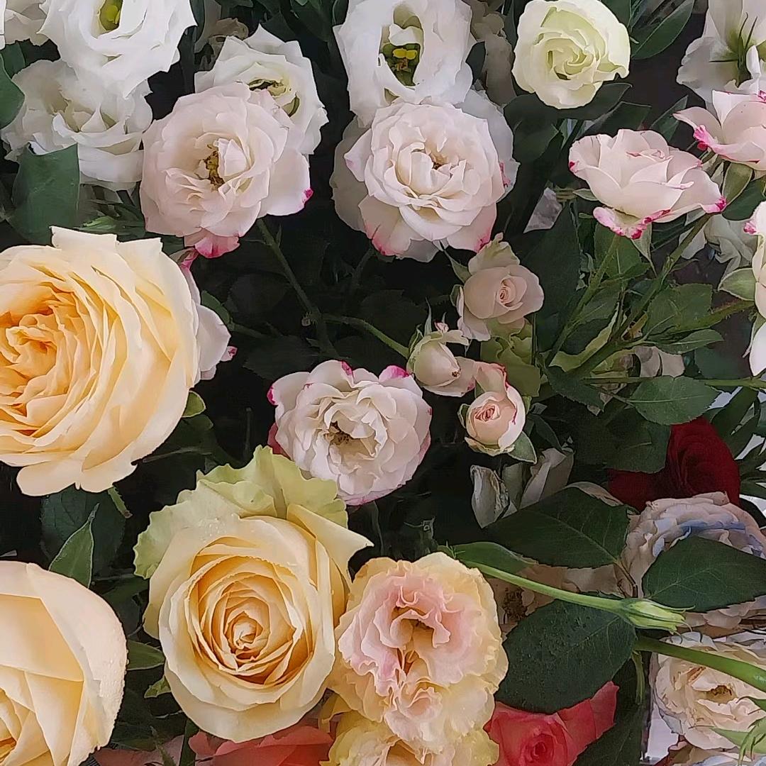 滿城風雨🇨🇳