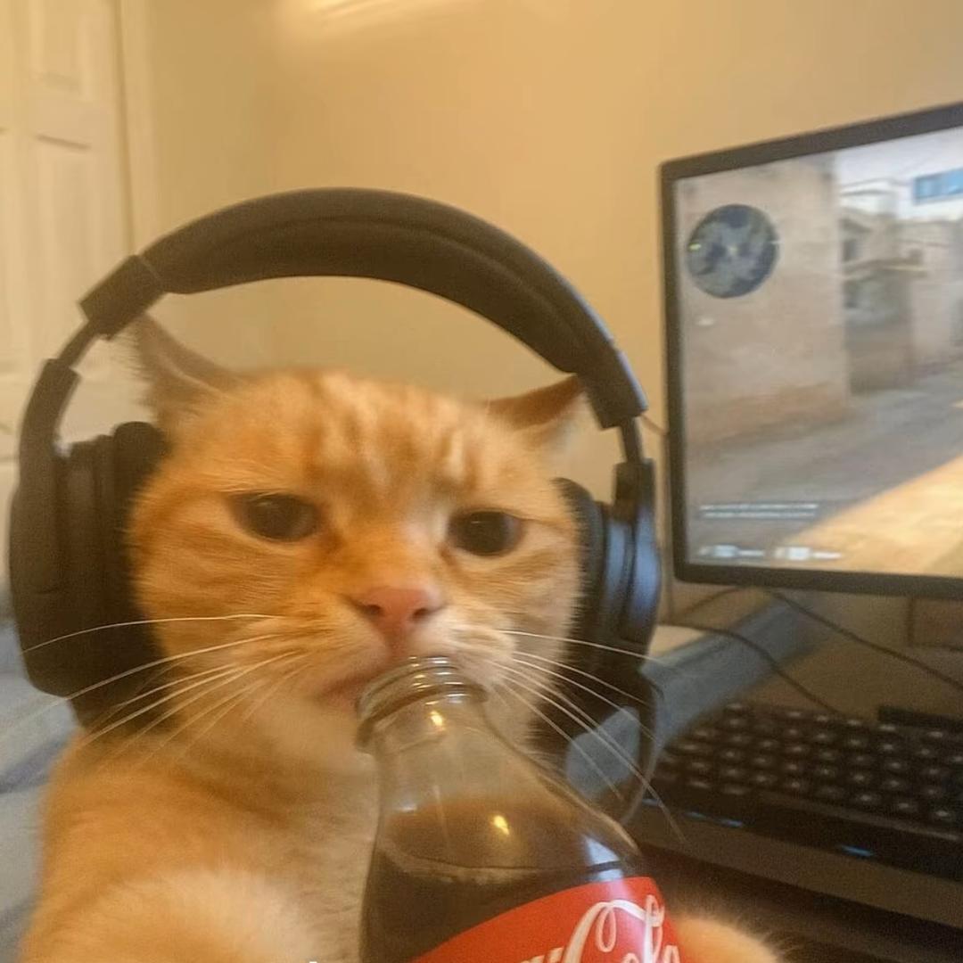 ᝰꫛꫀꪝ