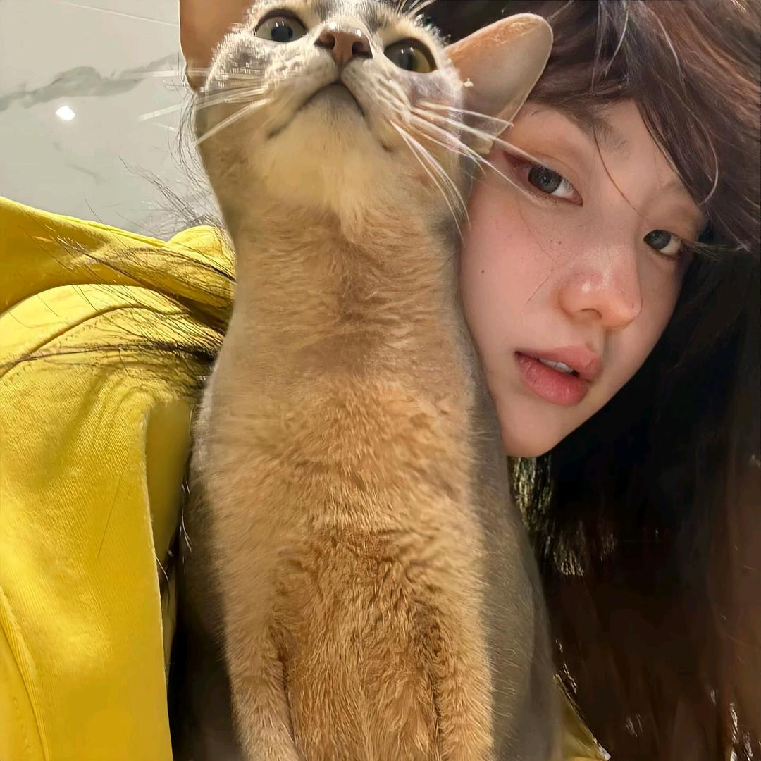 ᳐ ᳐𝙔𝙖𝙞𝙤 ᳐੭*💭·