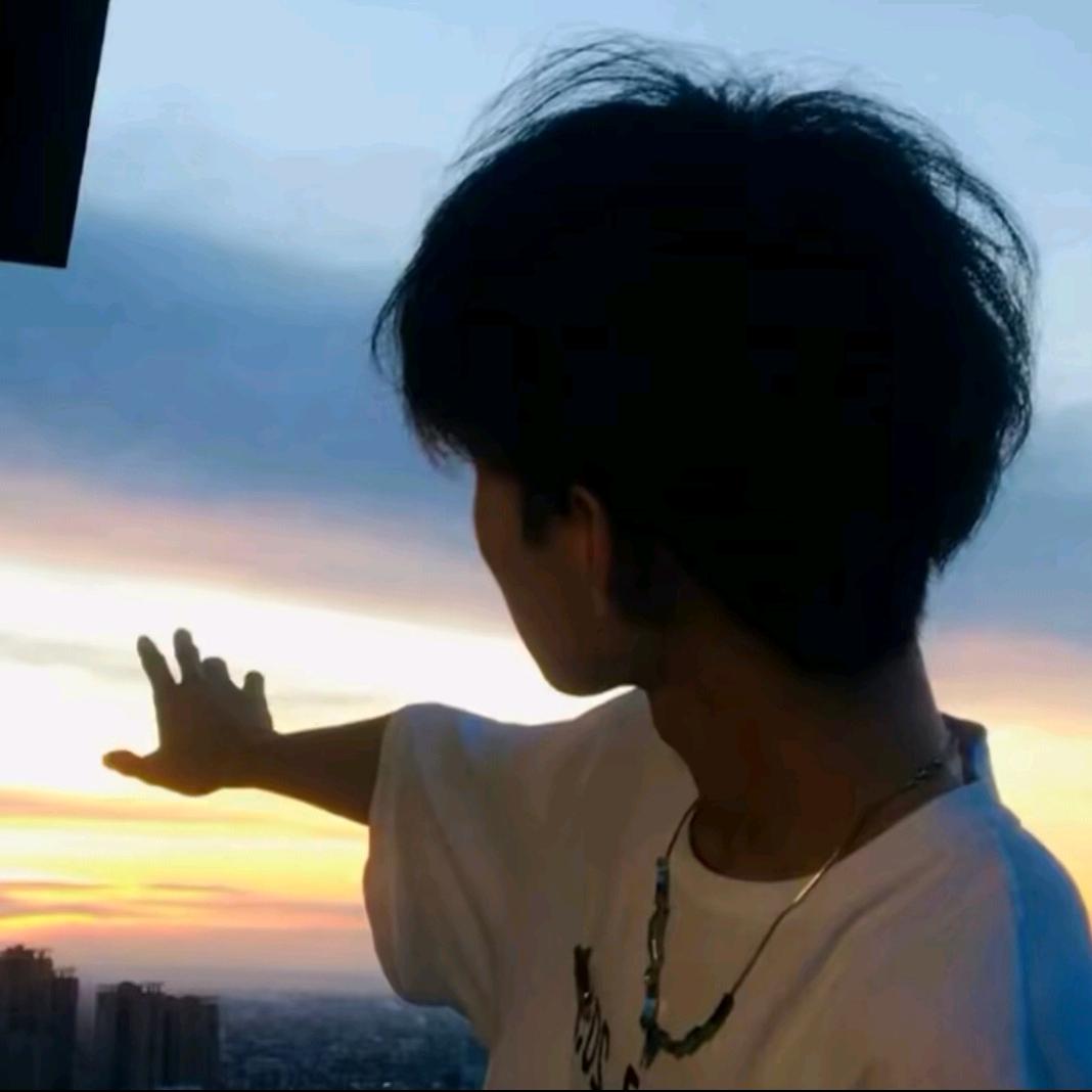 宠