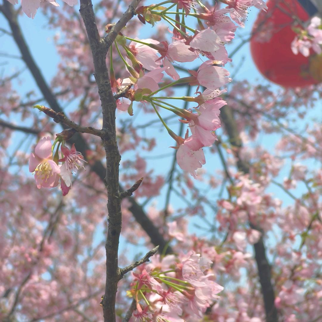 🦋ꦿ໊余生᭄🕊随心᭄ꦿᩚ٭