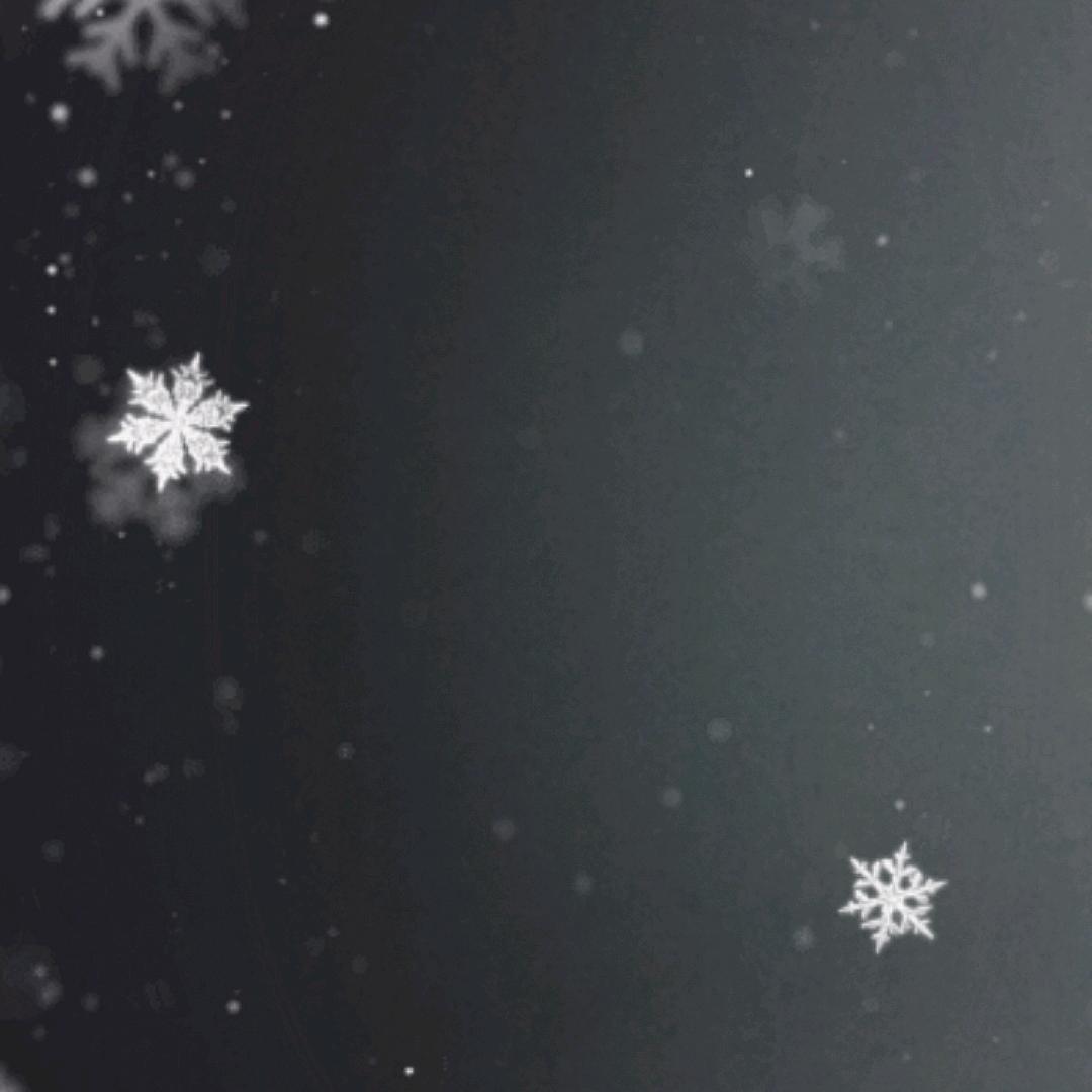 ʚ软萌小奶包⁰²⁰⁵