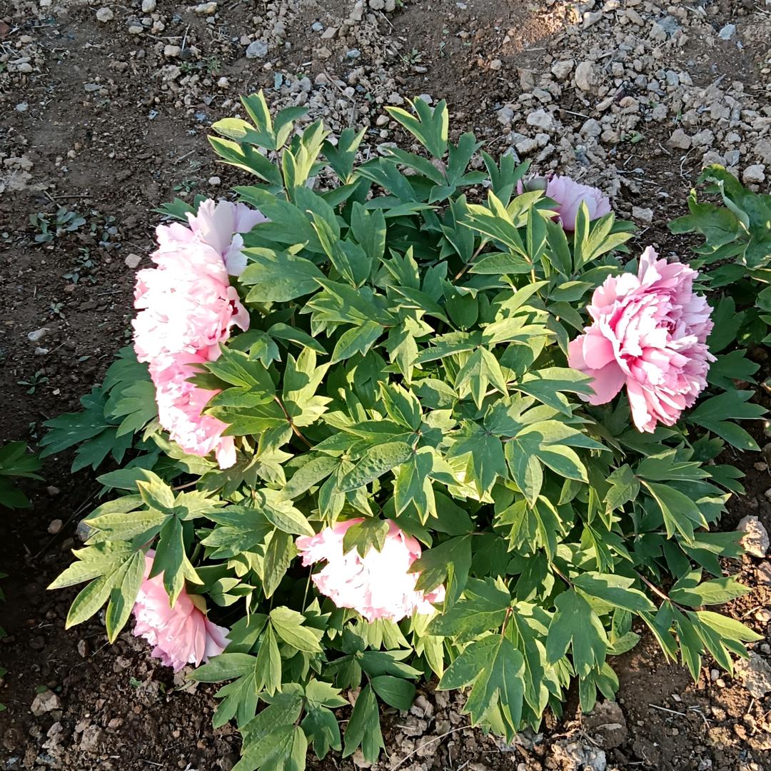 美好回忆