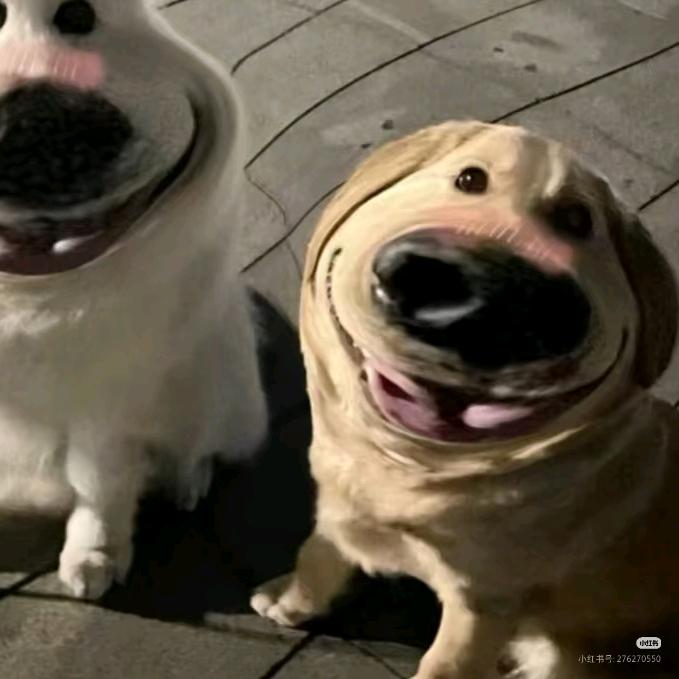 有钱必买电动车