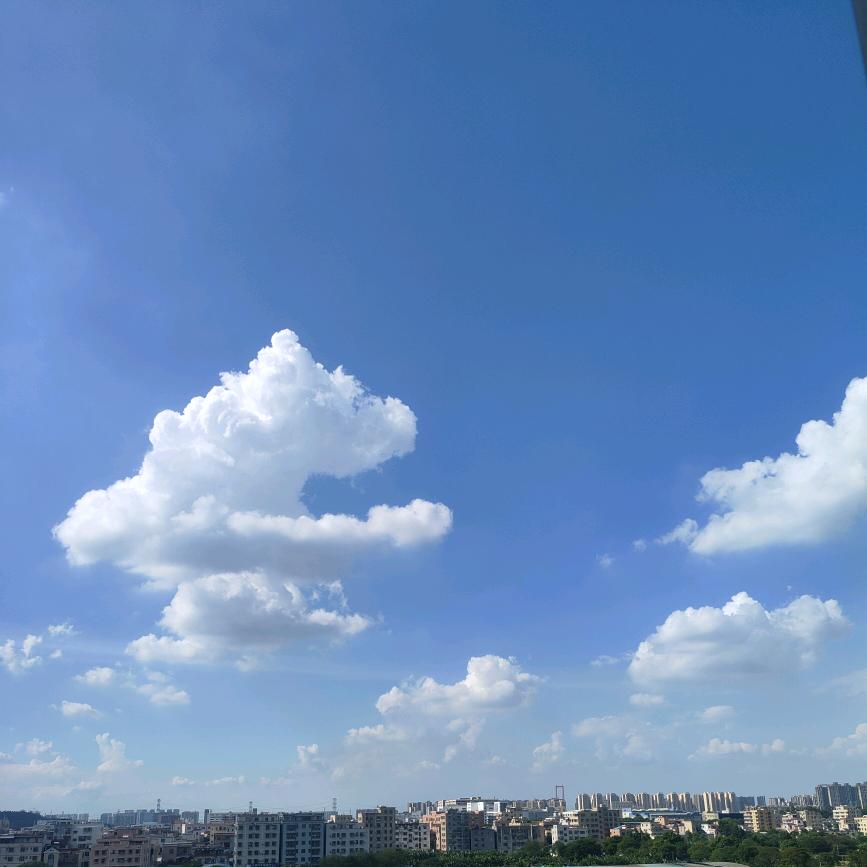 手握风云☞阿金☜